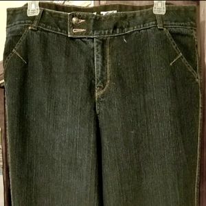 COPY - Lane Bryant jeans